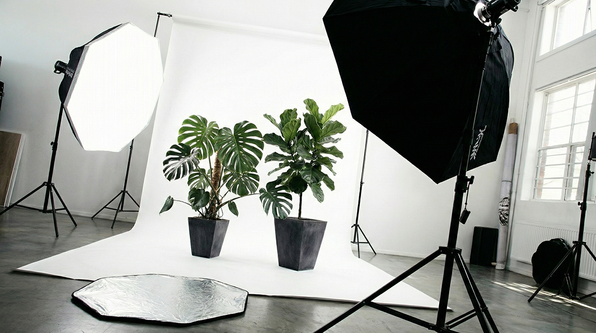 スタジオ撮影機材とライティング